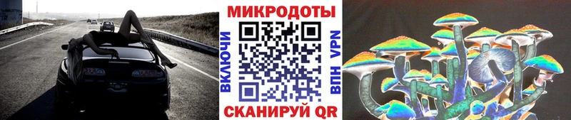 Псилоцибиновые грибы Psilocybe  Углегорск 